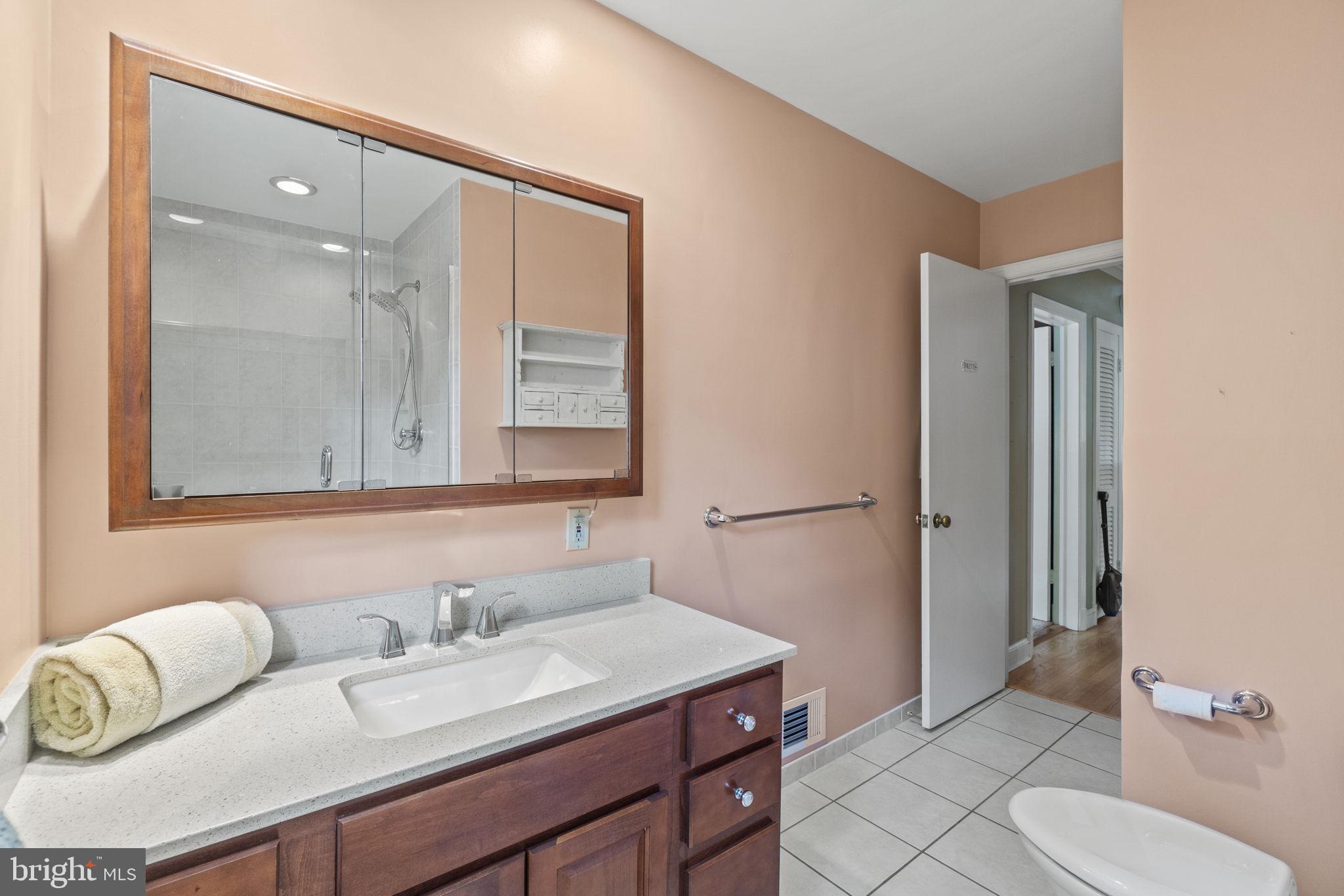 1008 Lanark Way Silver Spring, MD 20901 - Photo 15 of 26 Large main level vanity.