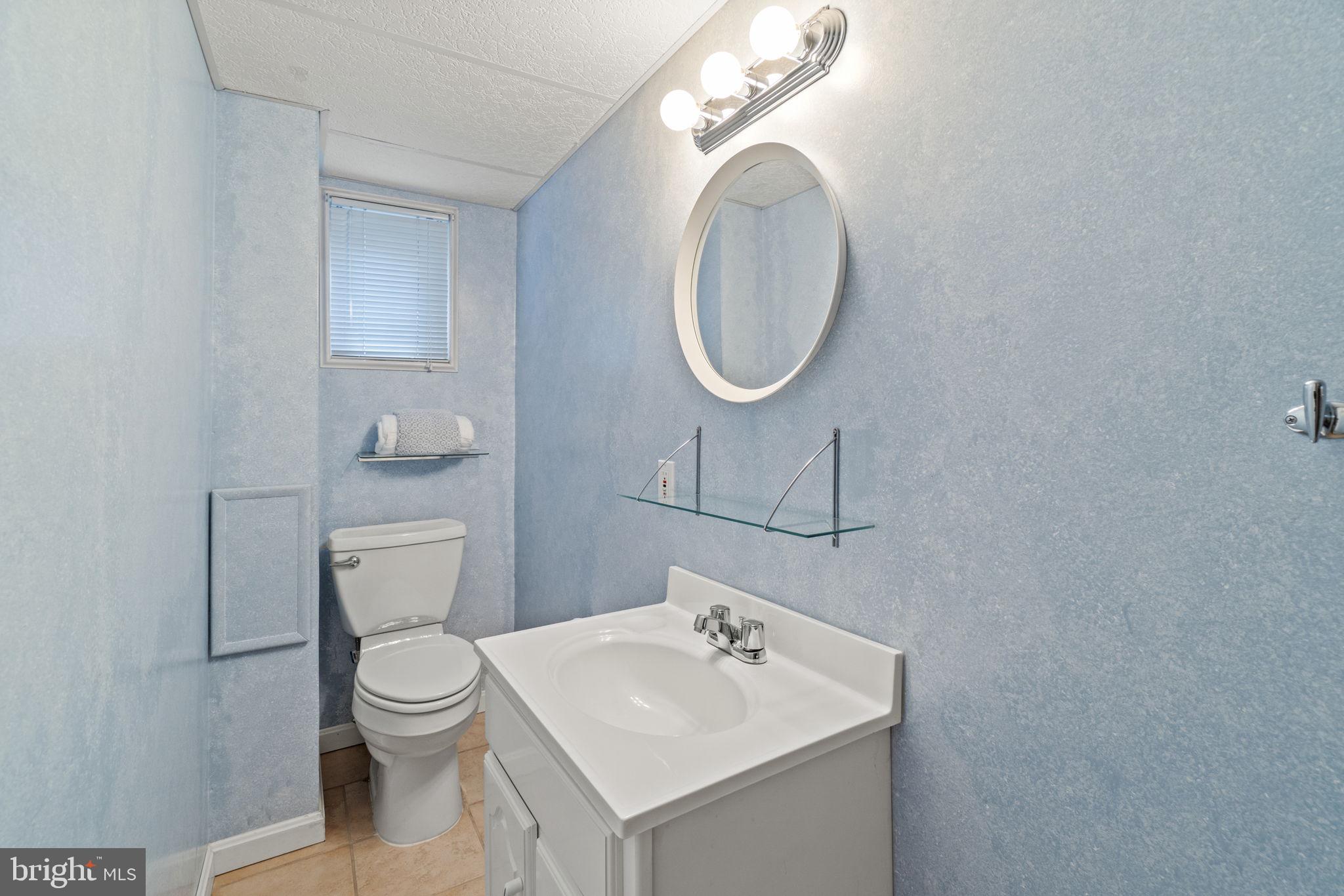 1008 Lanark Way Silver Spring, MD 20901 - Photo 17 of 26 Lower level full bathroom.