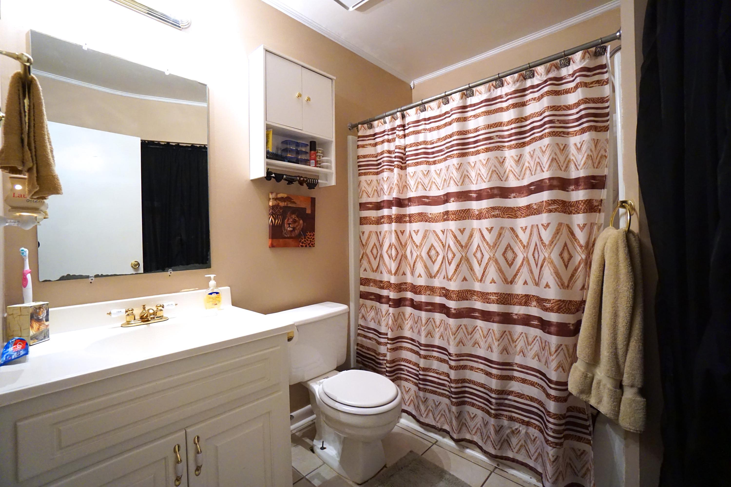 143 Manchester Road Summerville, SC 29486 - Photo 8 of 9 Hall Bathroom