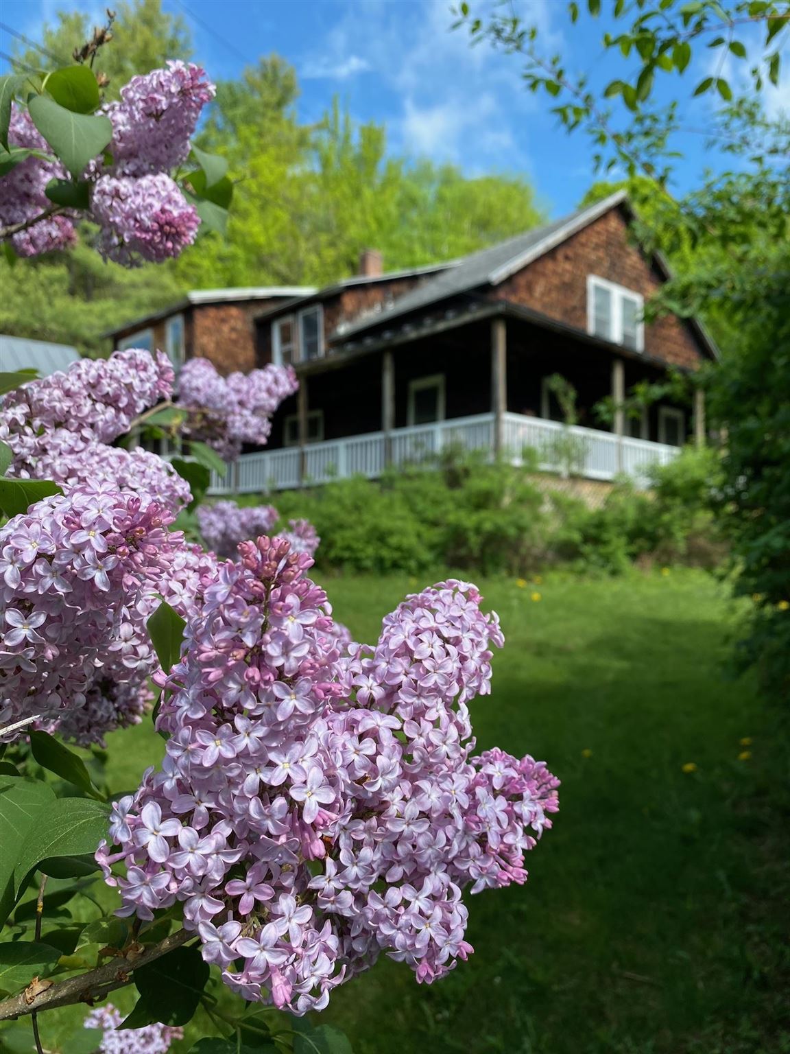 4553 East Hill Road Andover, VT 05143 - Photo 2 of 32