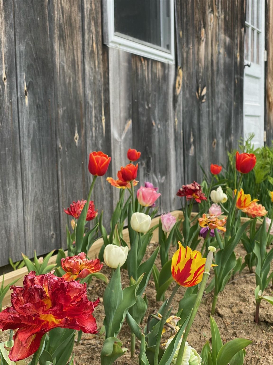 4553 East Hill Road Andover, VT 05143 - Photo 28 of 32