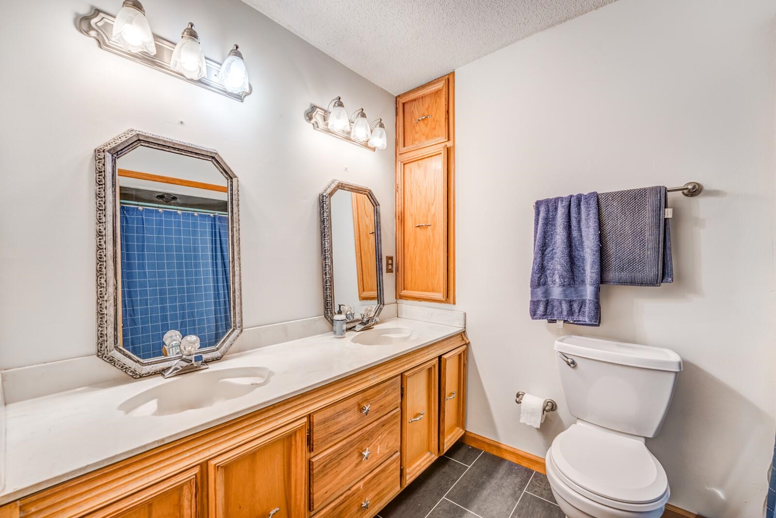 8651 Baylor Road Bartlett, TN 38002 - Photo 16 of 29 a bathroom with a sink a toilet and mirror