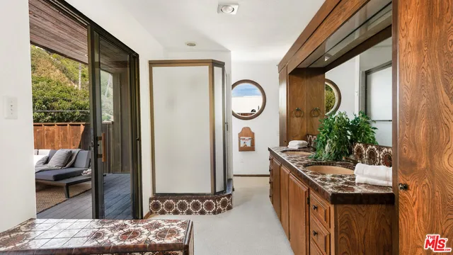 a kitchen with a sink and a potted plant