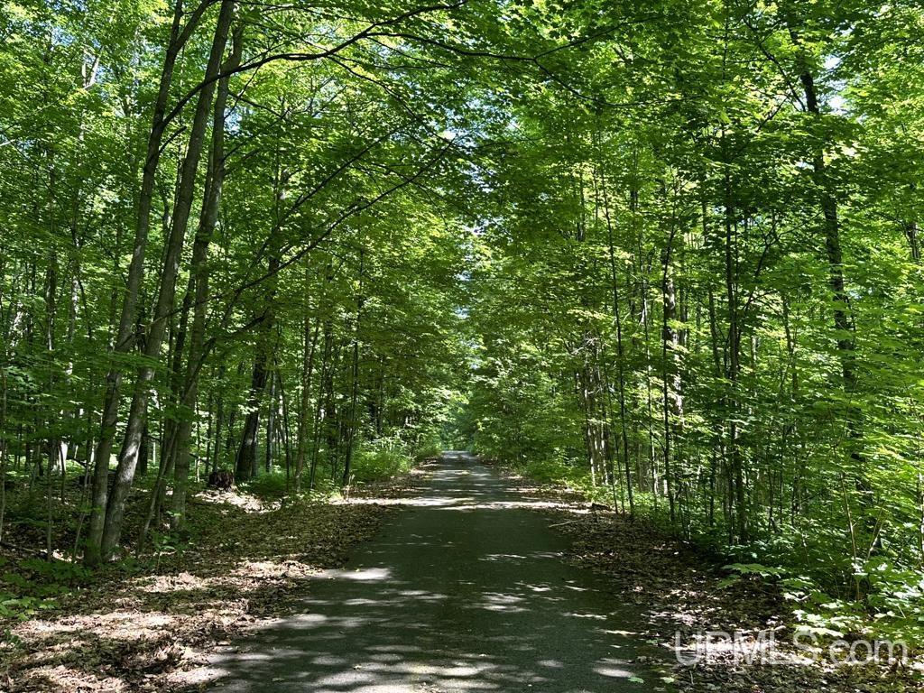 0 County Road 553 Road Marquette, MI 49855 - Photo 23 of 38