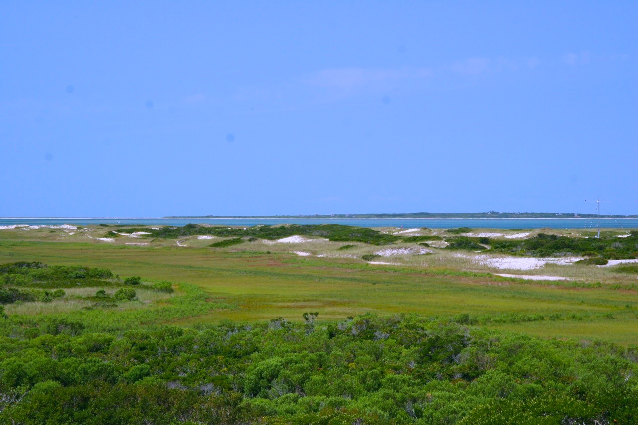 181 Eel Point Road Nantucket, MA 02554 - Photo 10 of 21 Gallery Image 10