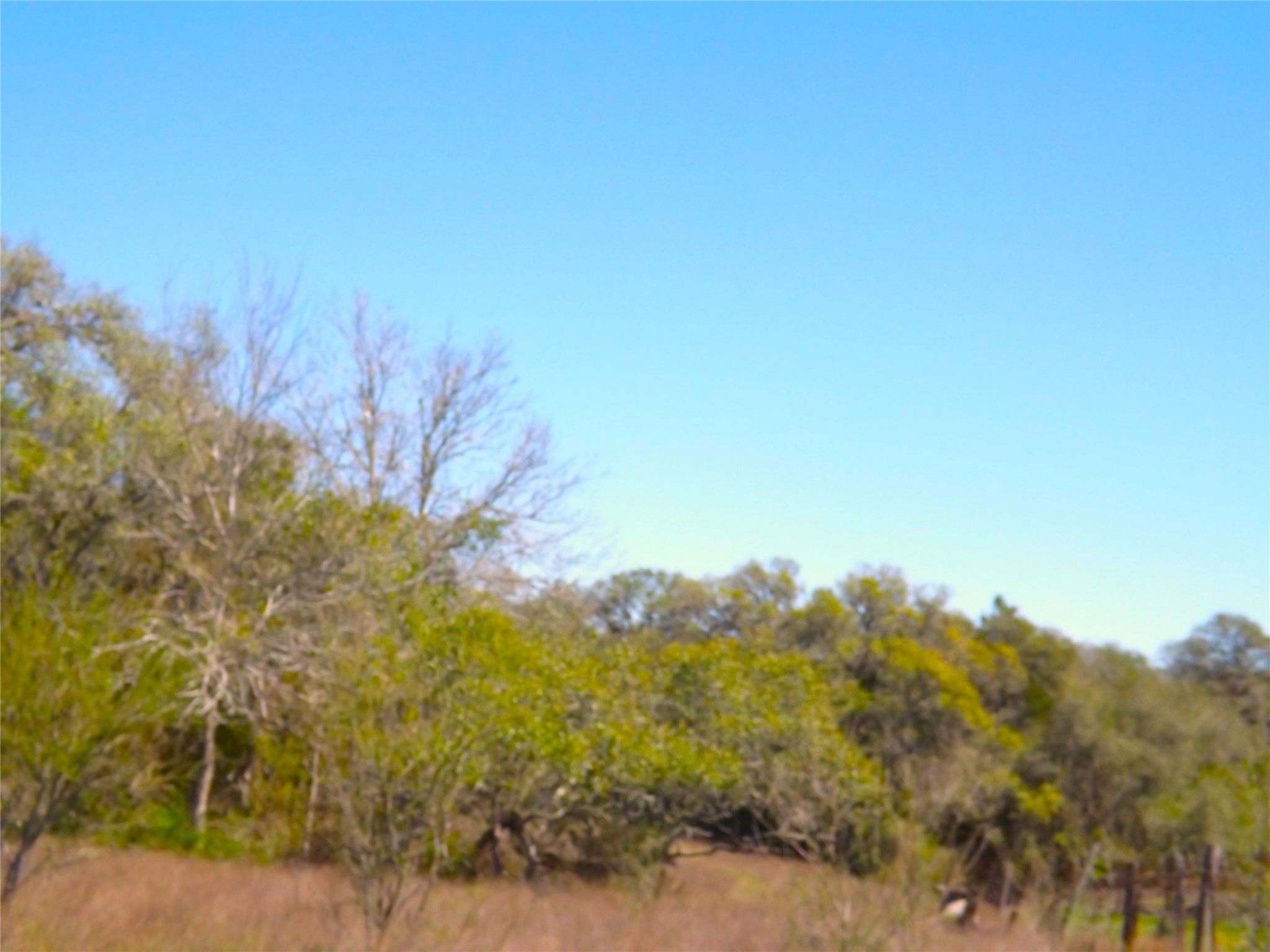 1649 County Road 209 Weimar, TX 78962 - Photo 14 of 27 a view of a field