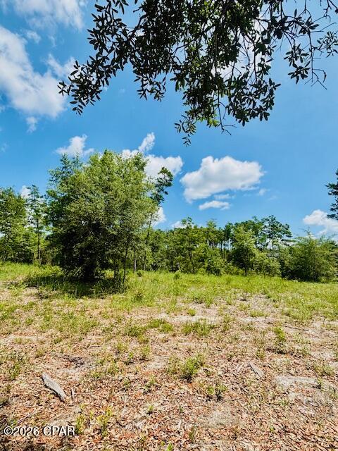 0 Lake Ridge Drive Chipley, FL 32428 - Photo 10 of 21