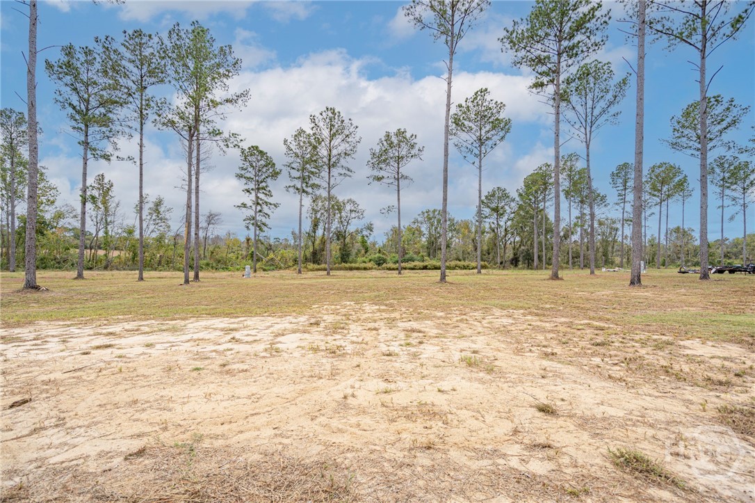 21670 Salem Church Road Metter, GA 30439 - Photo 39 of 47