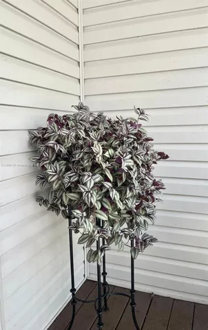 a bed room with a bed and a television