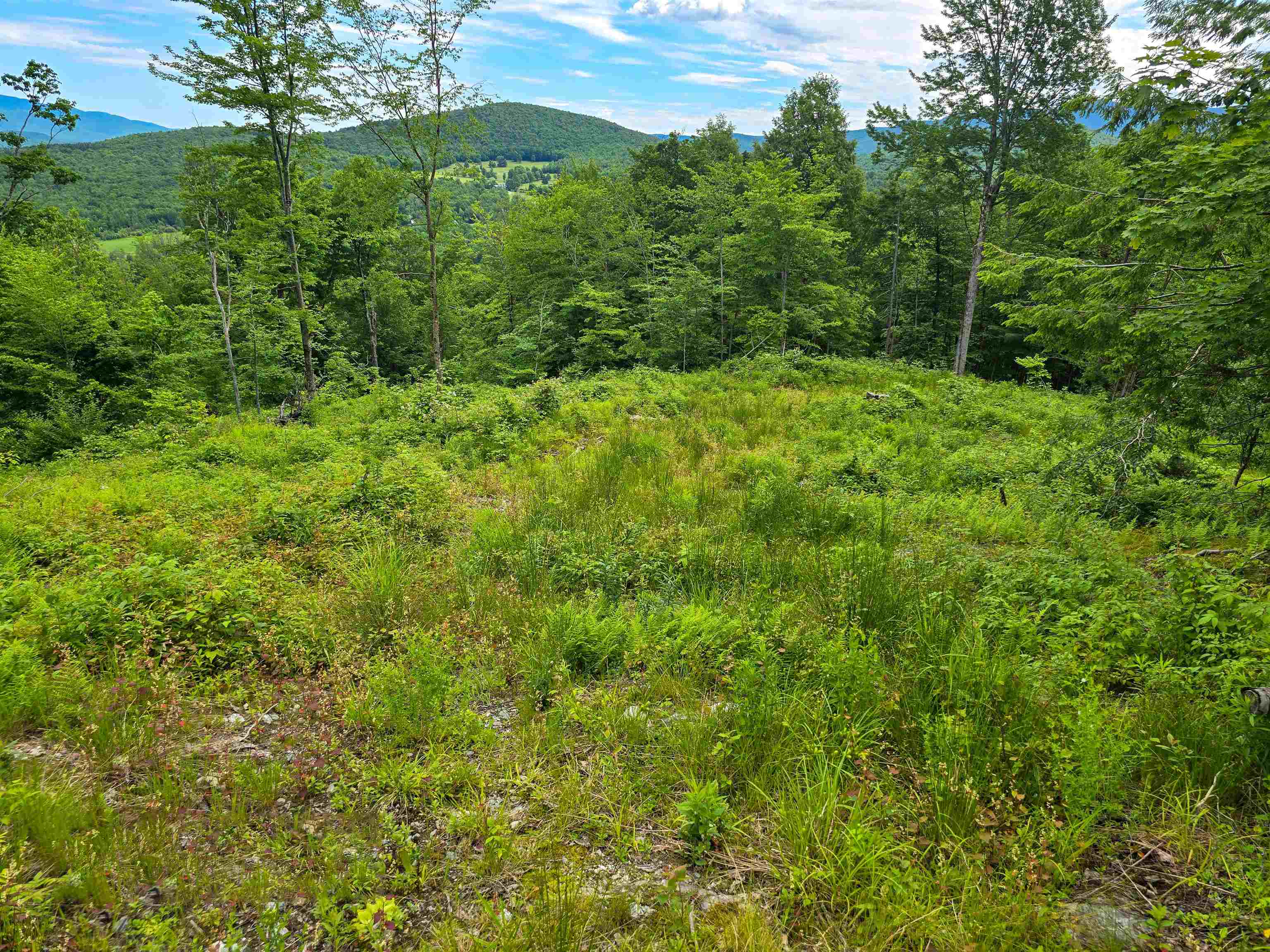 433 Wightman Hill Road Richford, VT 05476 - Photo 11 of 44