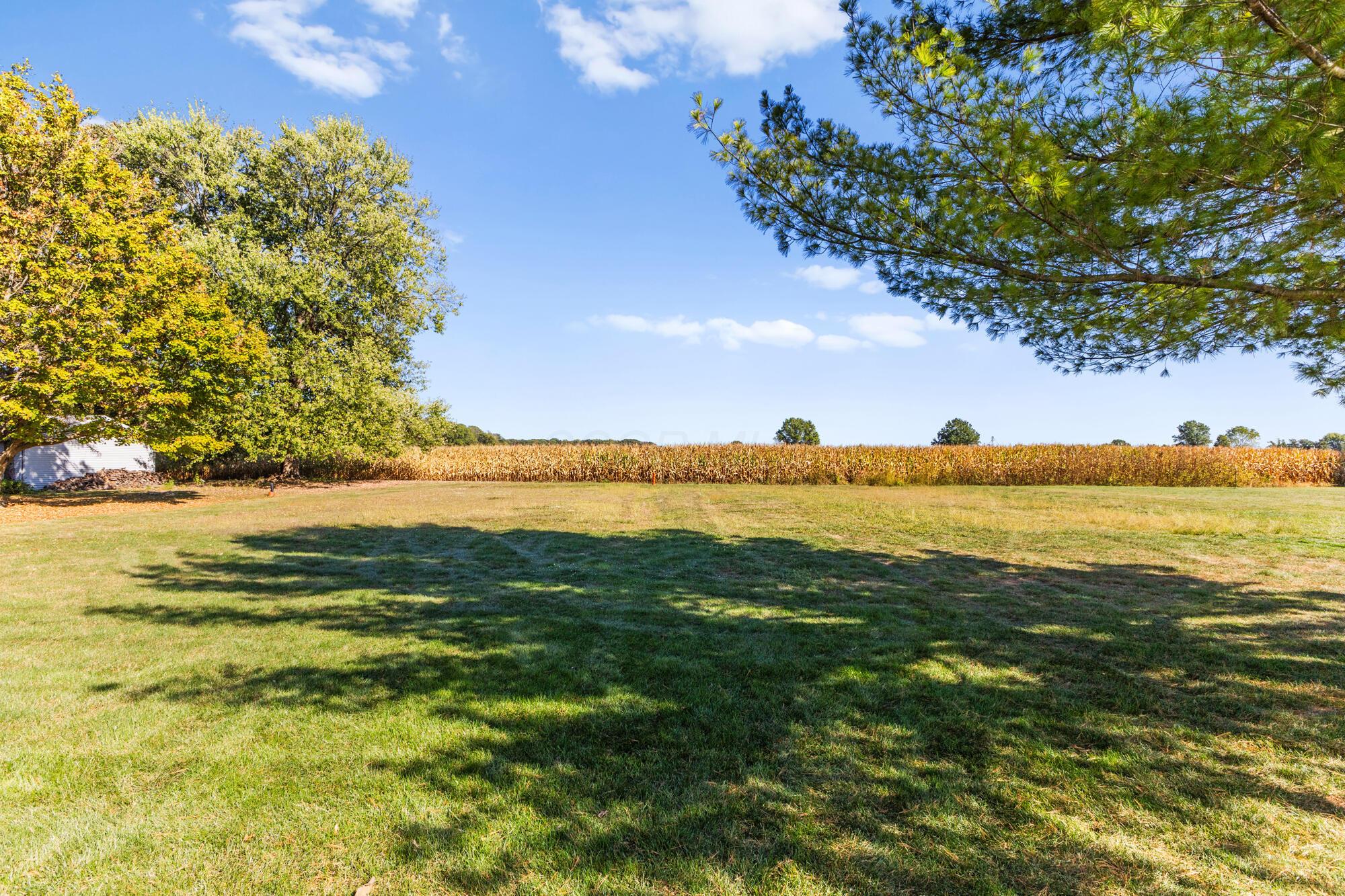 3200 Smeltzer Road Marion, OH 43302 - Photo 5 of 41 Green Space to the East