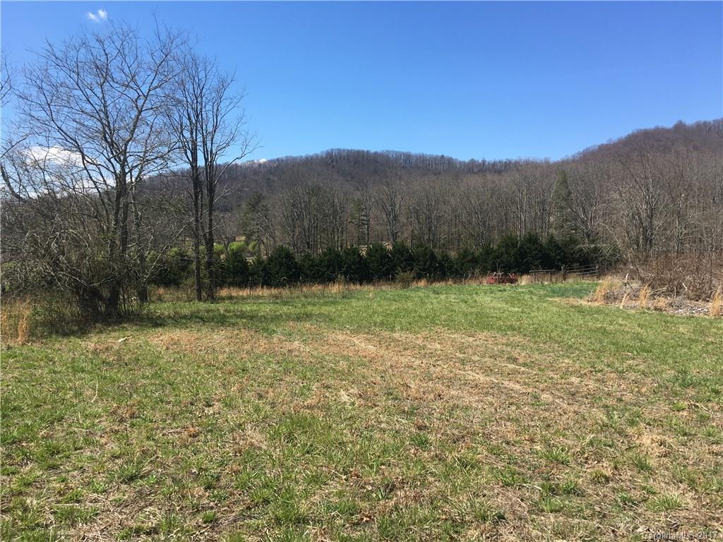 Tbd Emmas Grove Road, Unit 1 Fletcher, NC 28732 - Photo 2 of 6 Gallery Image 2