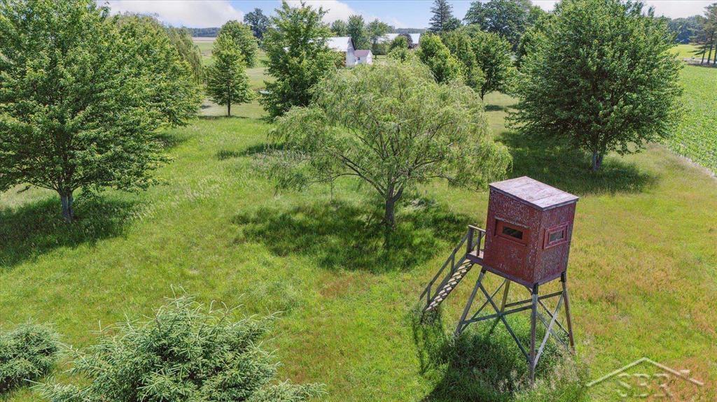 3715 Northeast County Line Road Merrill, MI 48637 - Photo 47 of 61