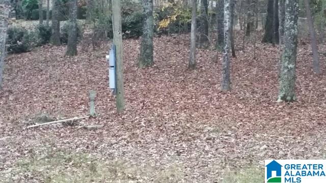 135 Honeysuckle Way, Unit 1 Riverside, AL 35135 - Photo 3 of 14