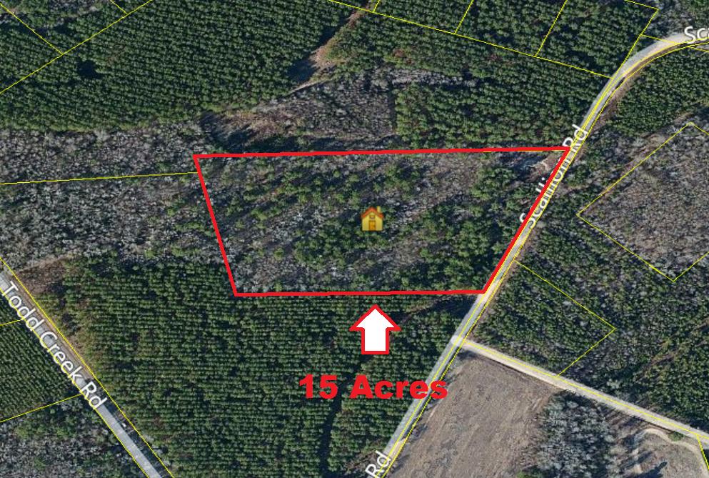 476 Scallion Road Neeses, SC 29107 - Photo 1 of 1 476 Scallion Rd