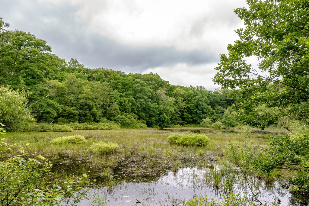 52 South Border Road Medford, MA 02155 - Photo 28 of 29 Gallery Image 28