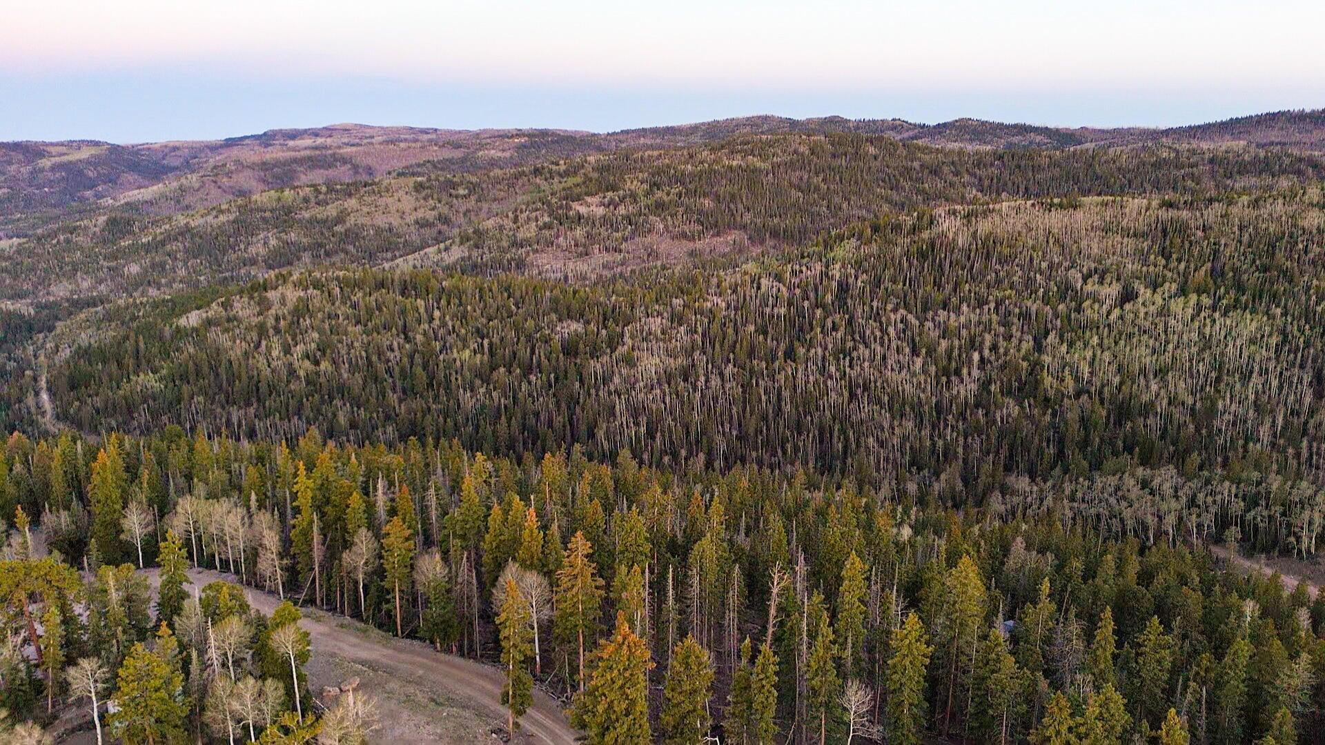 South Sunset Drive, Unit 3S Beaver, UT 84713 - Photo 2 of 18 20250602205038219164000000-o