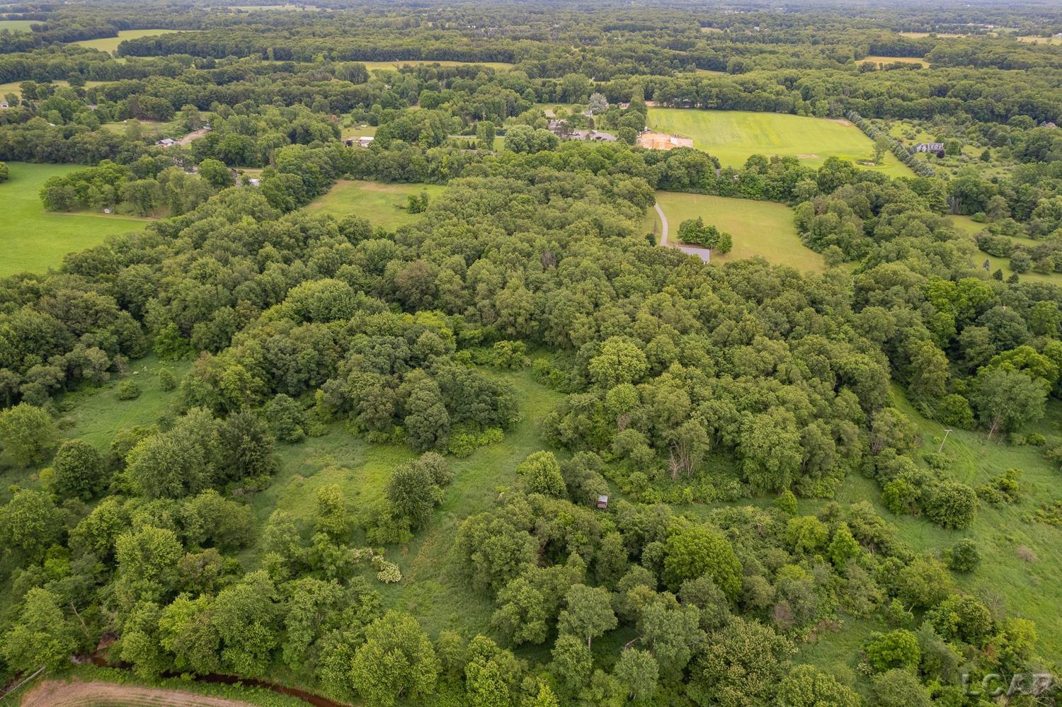2010 South Kane Road Stockbridge, MI 49285 - Photo 67 of 80
