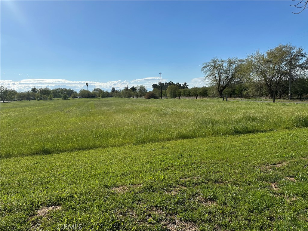 23271 Olive Avenue Gerber, CA 96035 - Photo 21 of 28