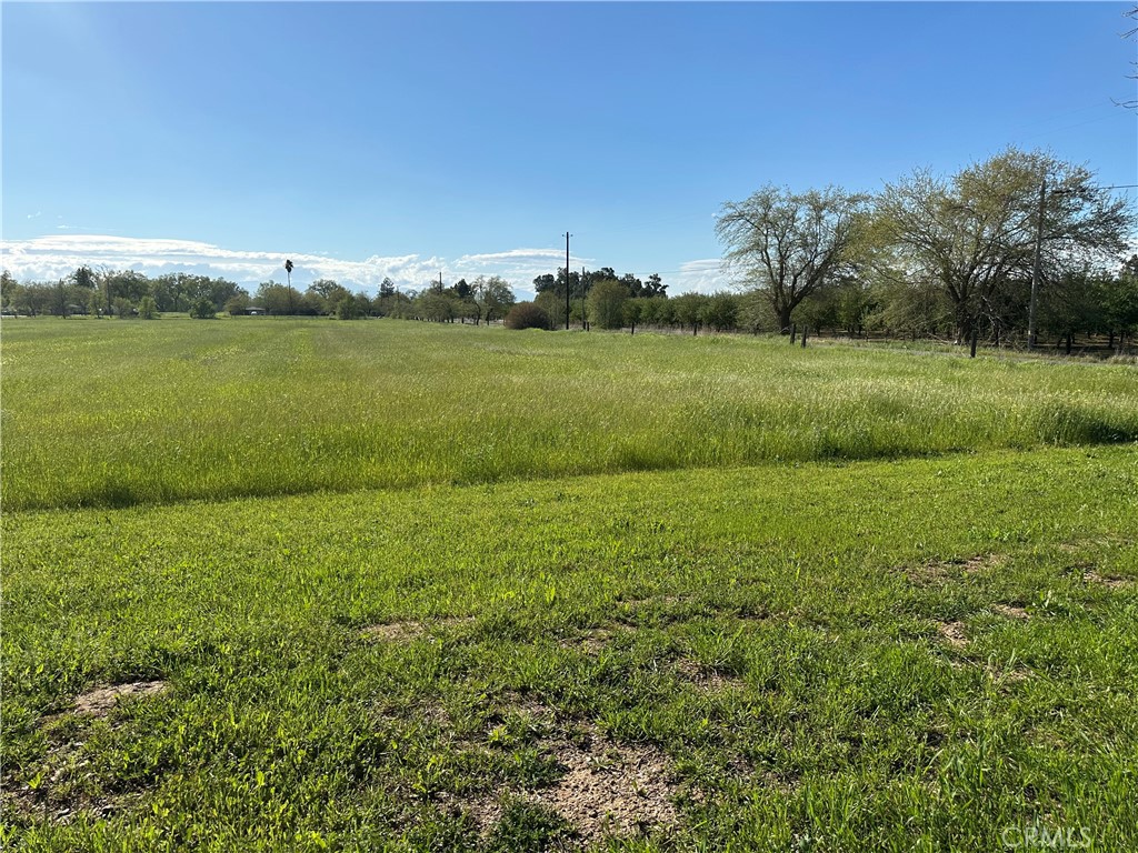 23271 Olive Avenue Gerber, CA 96035 - Photo 22 of 28