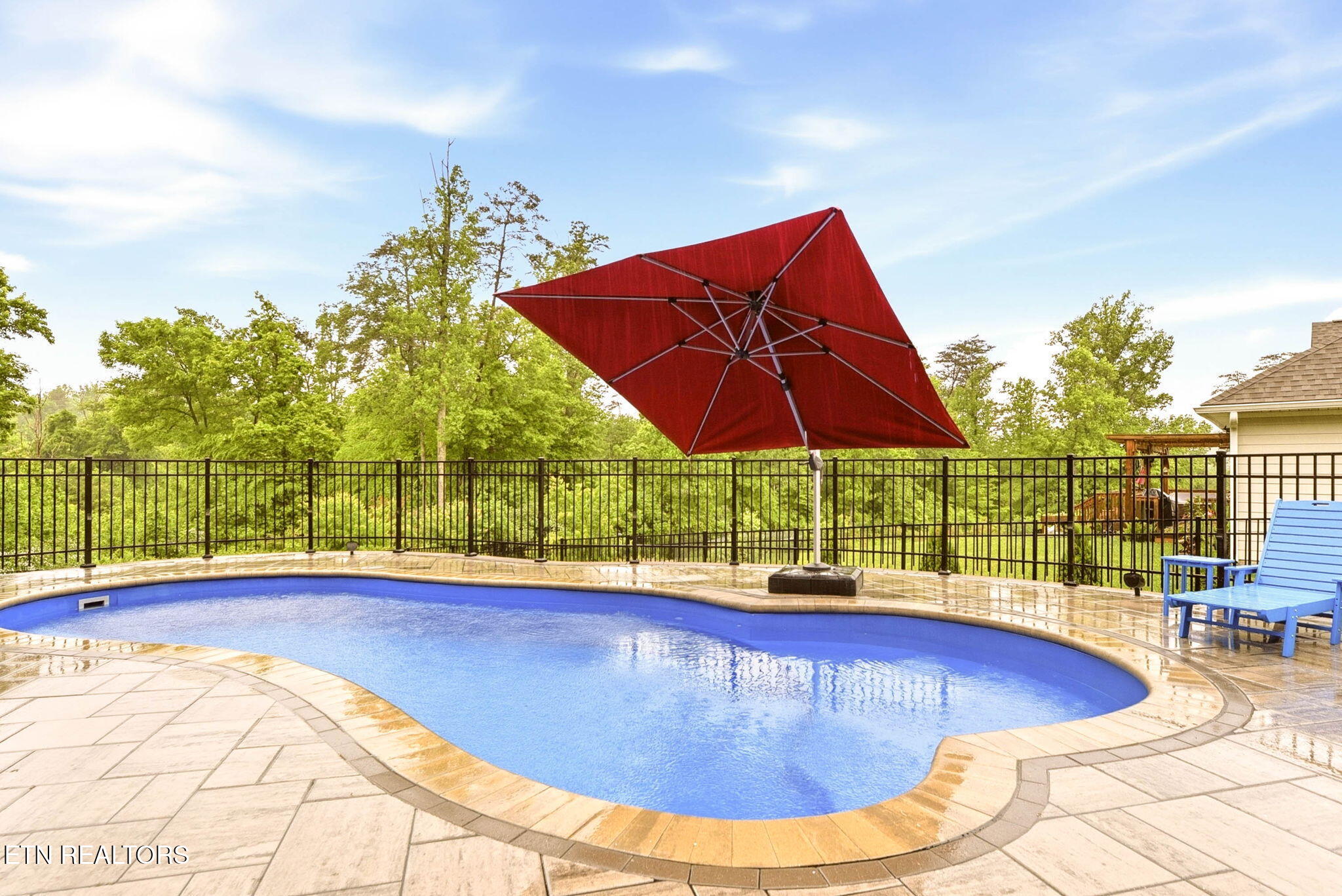 137 Black Oak Road Oak Ridge, TN 37830 - Photo 43 of 51 pooldaylight3