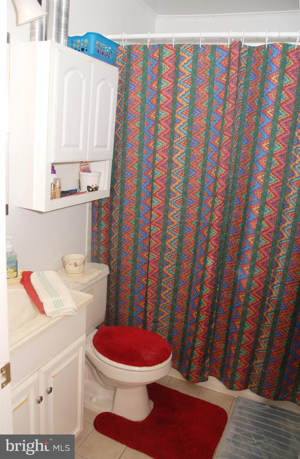 2128 Graythorn Road Baltimore, MD 21220 - Photo 15 of 20 a bathroom with a sink toilet and shower curtain