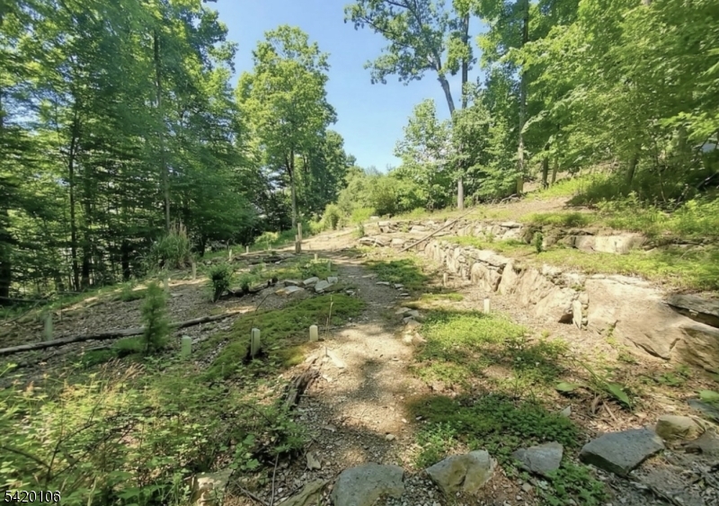 76 Skytop Road Newton, NJ 07860 - Photo 1 of 7 a view of a yard with plants and a large tree