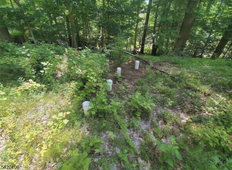 76 Skytop Road Newton, NJ 07860 - Photo 2 of 7 a view of yard with green space