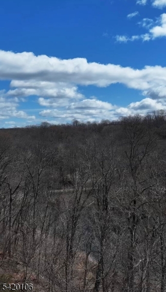 76 Skytop Road Newton, NJ 07860 - Photo 7 of 7 a view of city and mountain