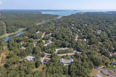 an aerial view of town with residential houses with outdoor space and trees