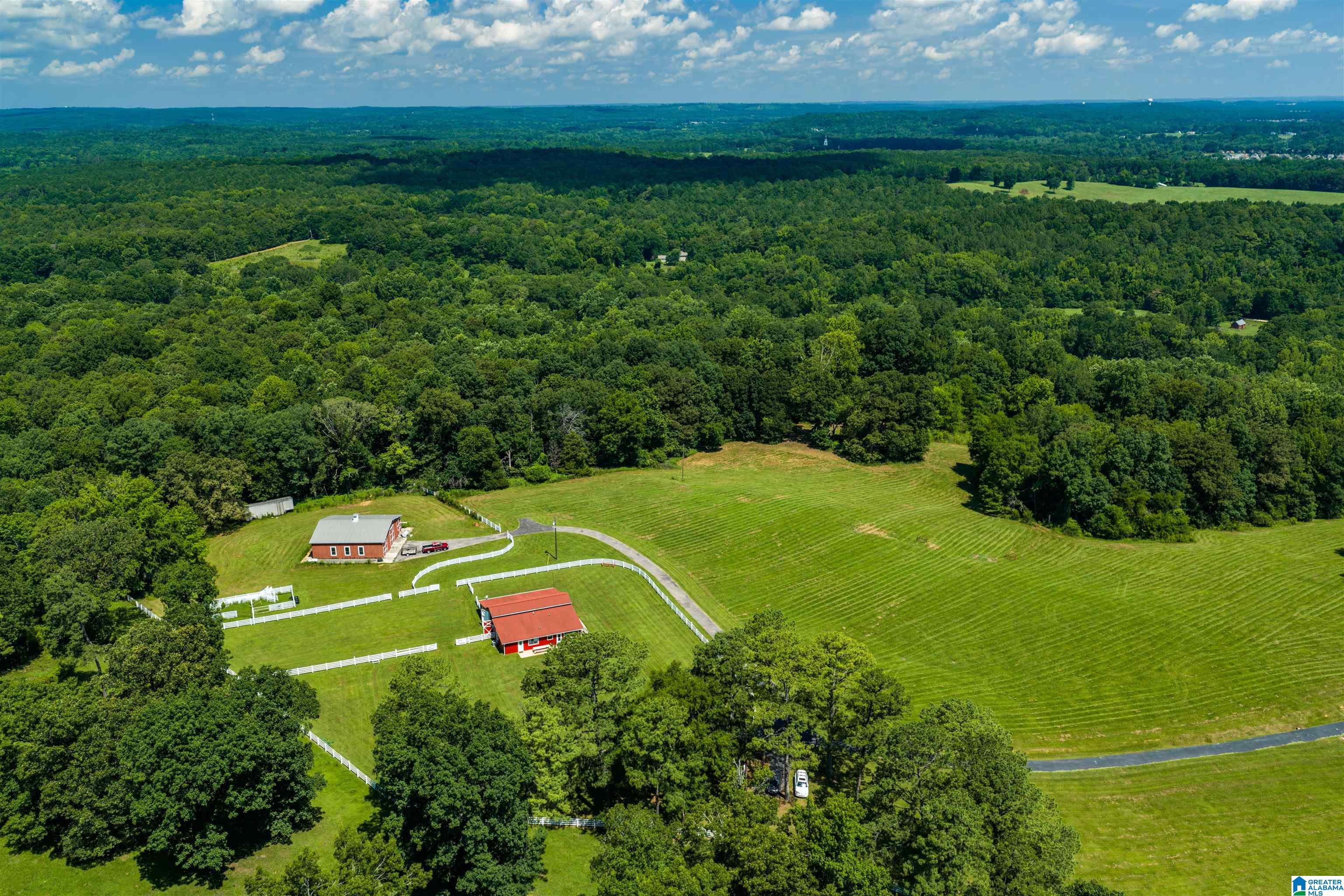 3640 Spring Creek Road Calera, AL 35040 - Photo 19 of 83