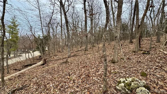 $7,000 | Four Country Club Drive, Four Seasons, MO 65049