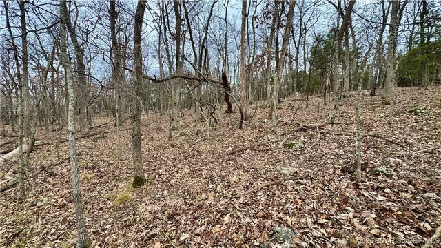 $7,000 | Four Country Club Drive, Four Seasons, MO 65049