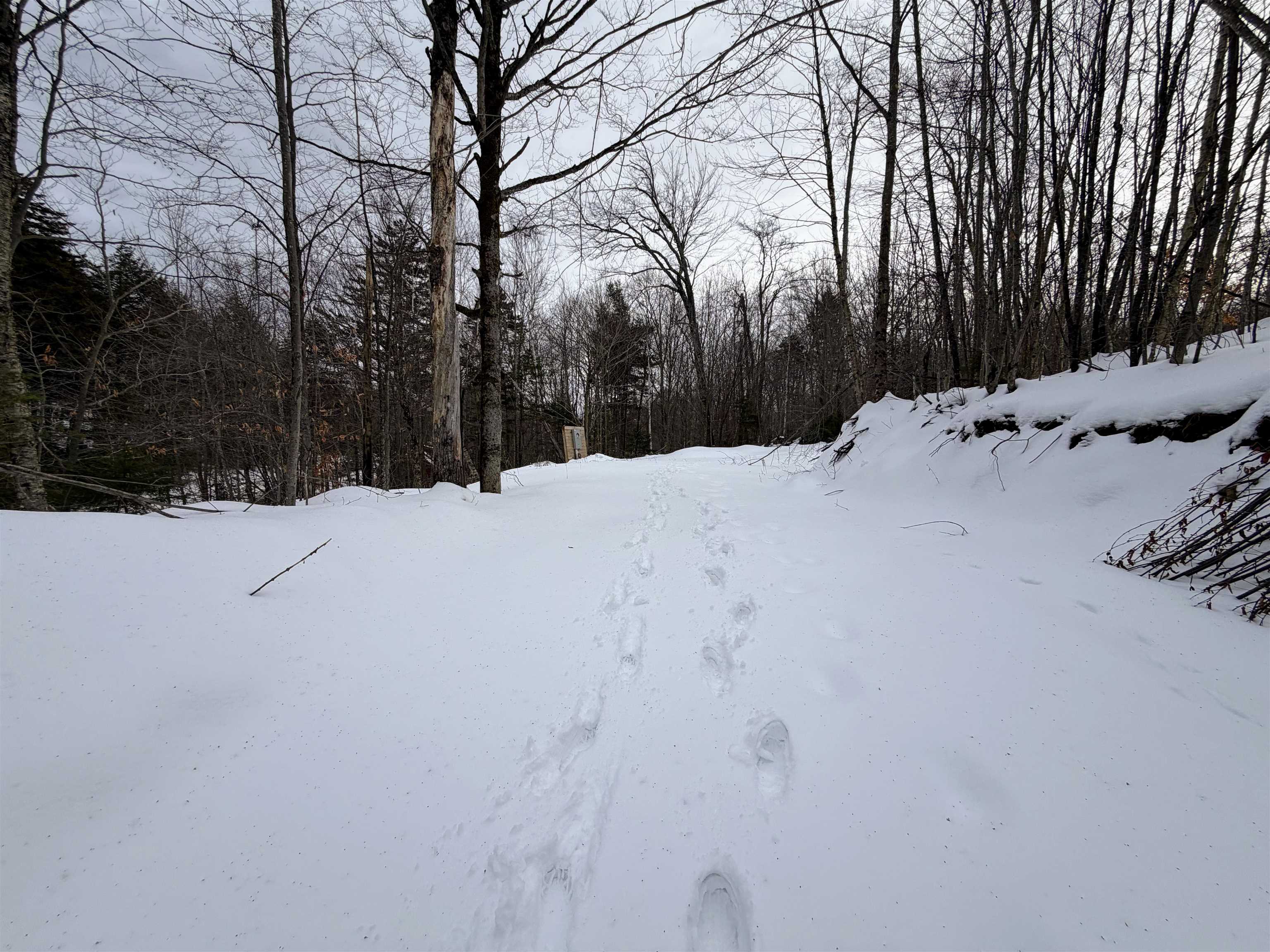 469 Williams Road Chester, VT 05143 - Photo 2 of 10