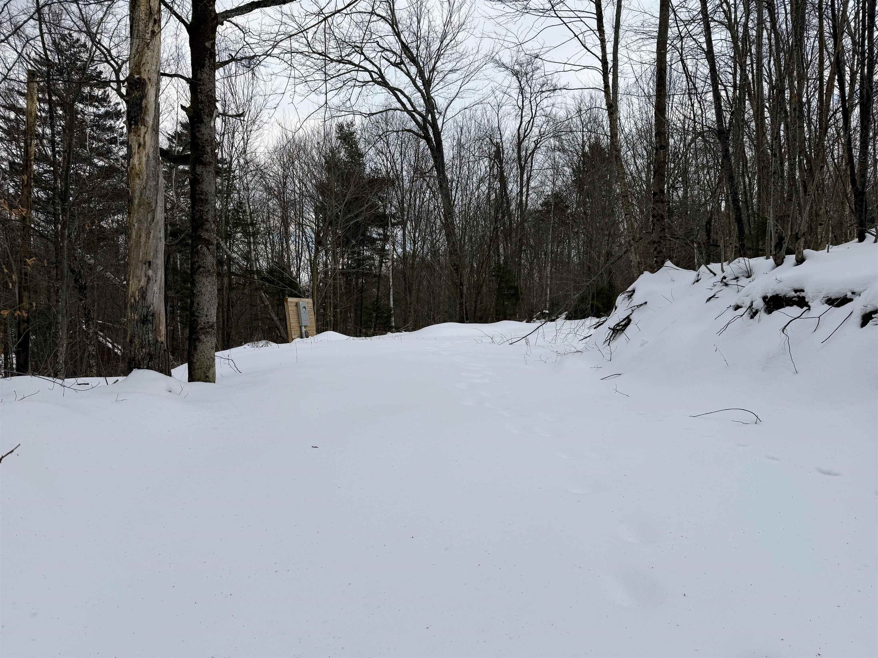 469 Williams Road Chester, VT 05143 - Photo 5 of 10