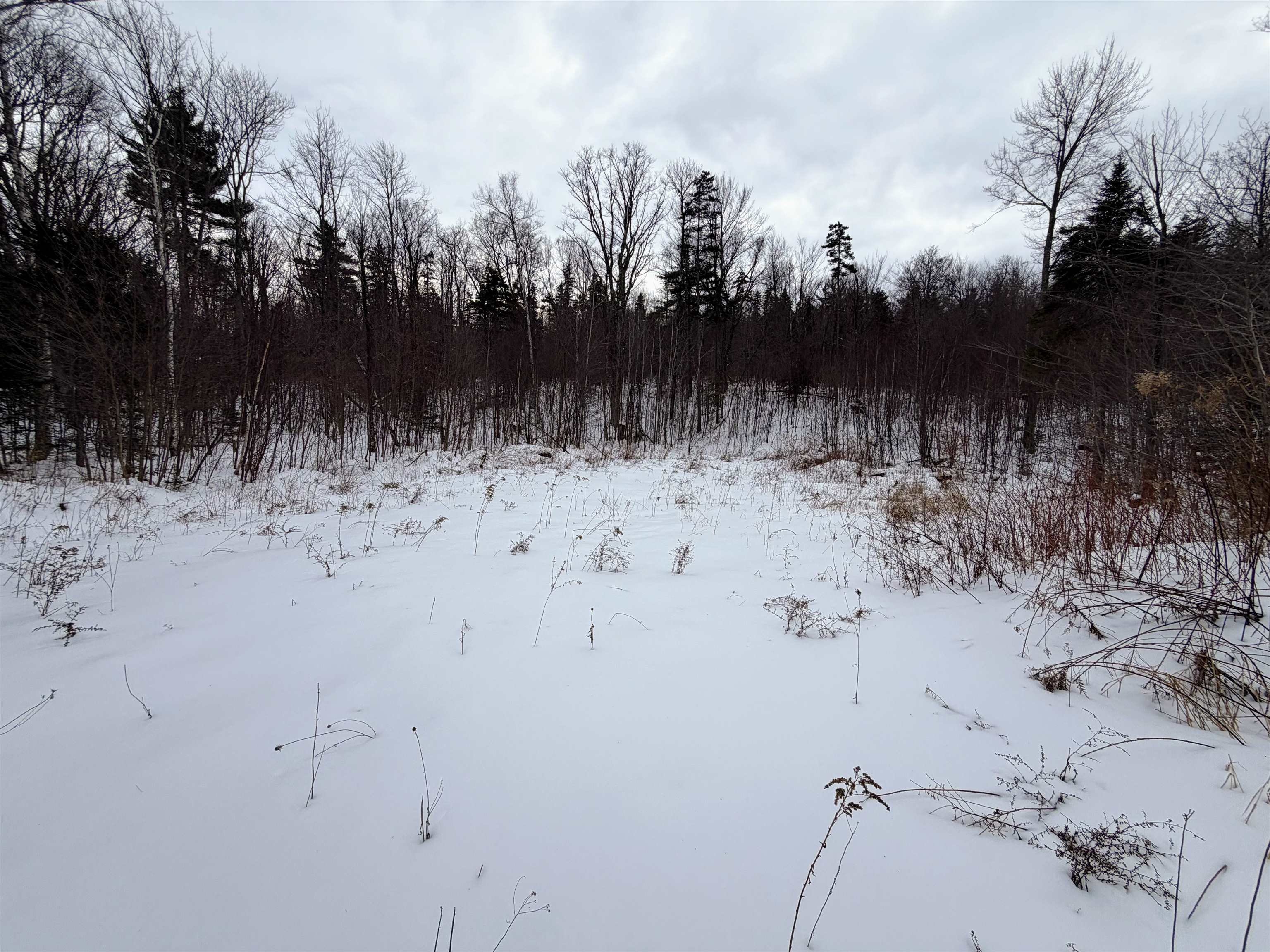 469 Williams Road Chester, VT 05143 - Photo 6 of 10