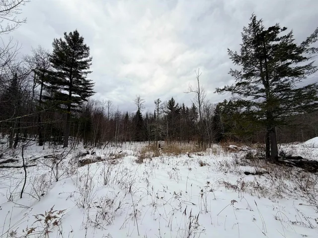 $129,000 | 469 Williams Road, Chester, VT 05143