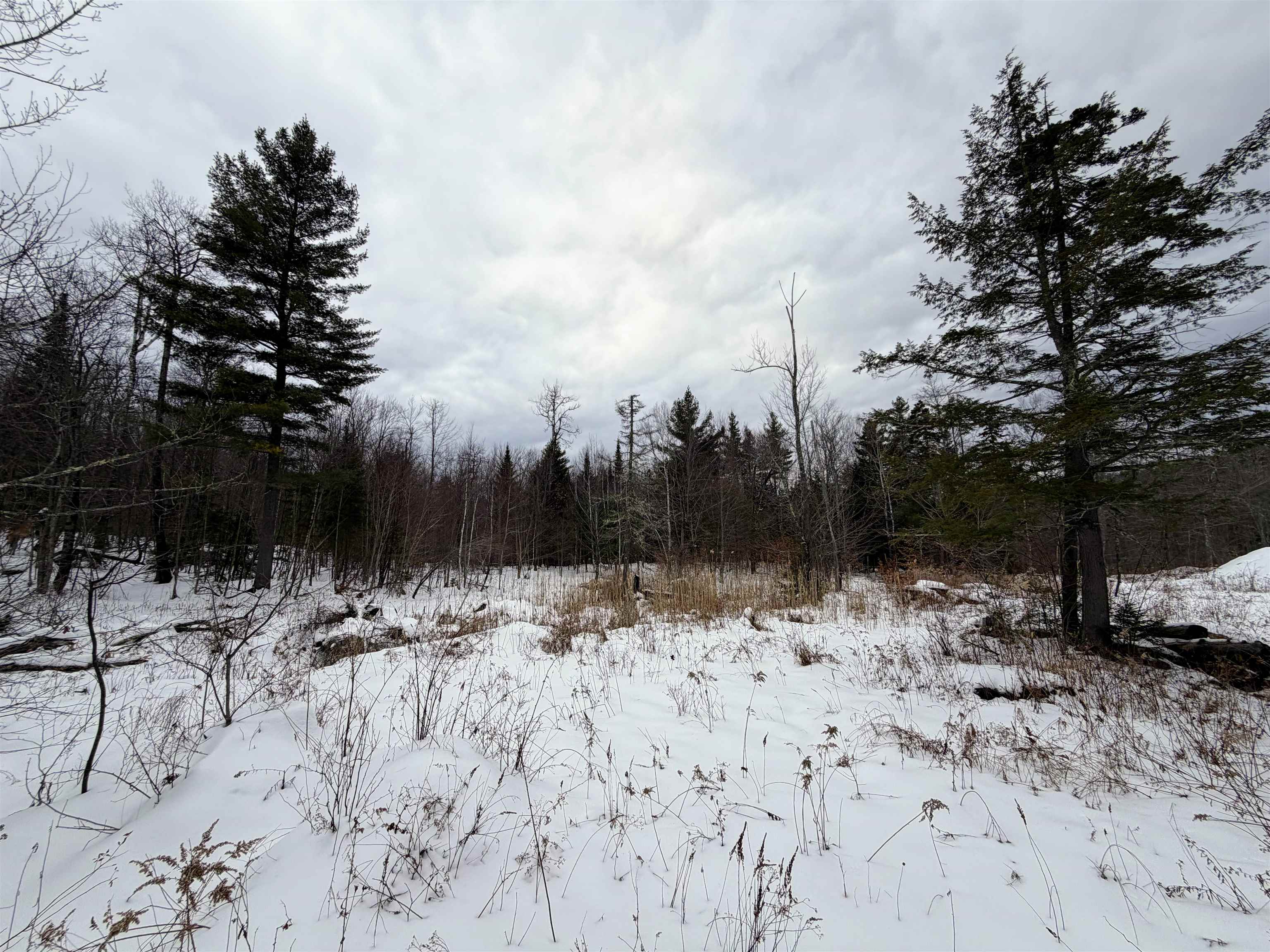 469 Williams Road Chester, VT 05143 - Photo 8 of 10