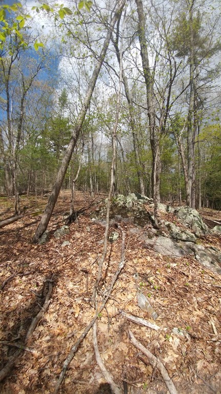 20 Wildmeadow Road Boxford, MA 01921 - Photo 35 of 40 Gallery Image 35