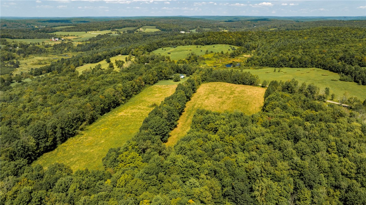 178 Windham Road Smithville, NY 13778 - Photo 21 of 27