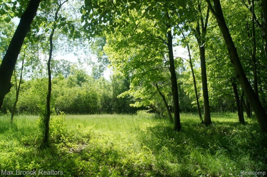 1 Farmbrook Road Southfield, MI 48034 - Photo 2 of 49