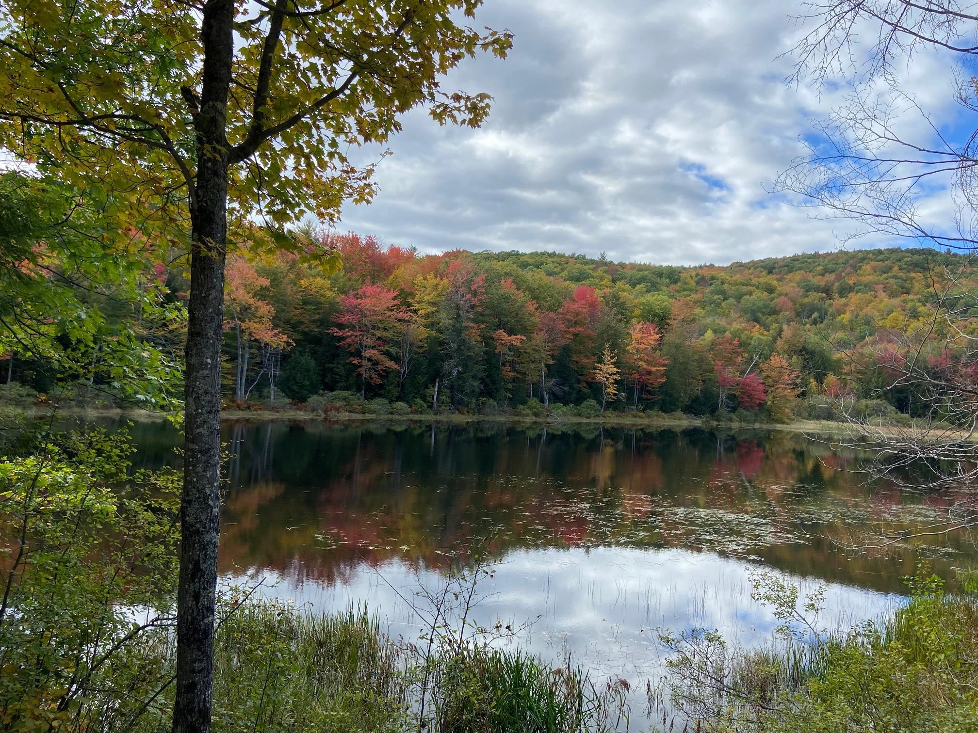 Dick Brown Road, Unit 48 Bristol, NH 03222 - Photo 6 of 10 Gallery Image 6