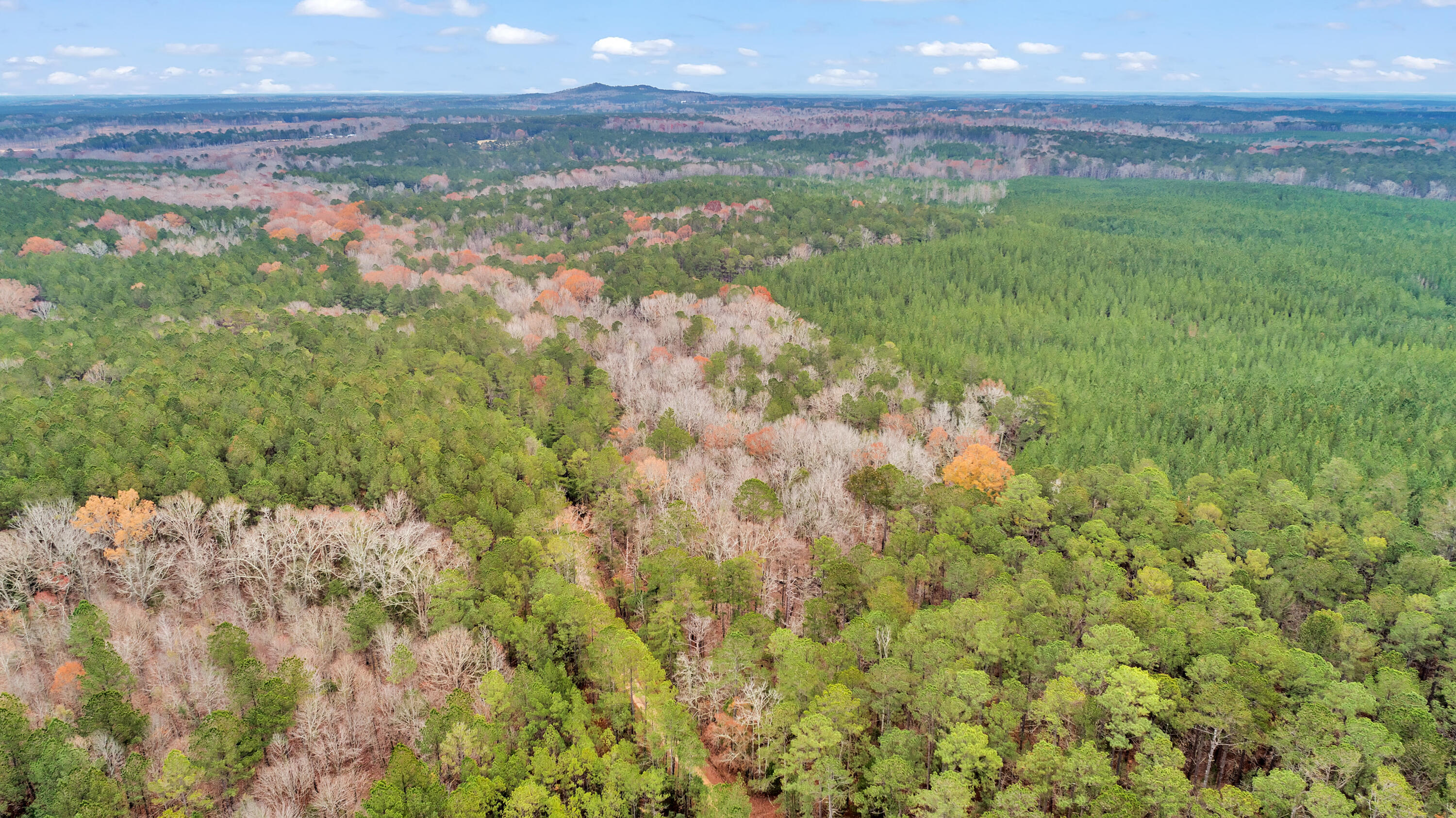 Lot 8 Saggus Road Washington, GA 30673 - Photo 27 of 42 Saggus Rd land 121-007A, 400ft View, Dro