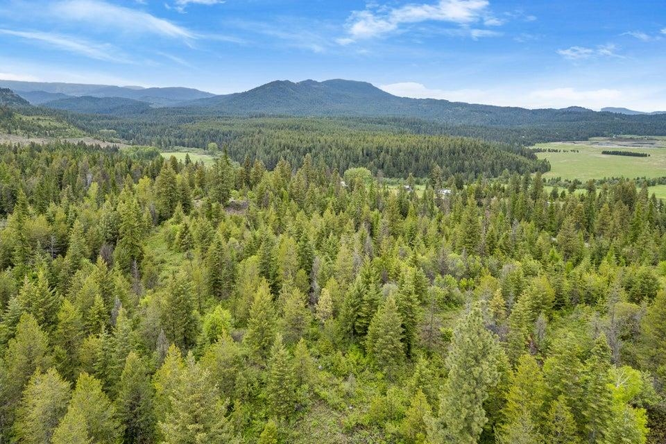 0 Hesseltine Road Valley, WA 99181 - Photo 12 of 16