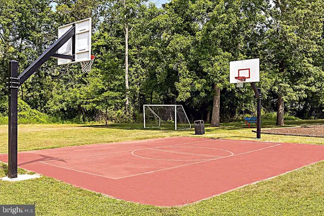 a view of a park with multi story trees