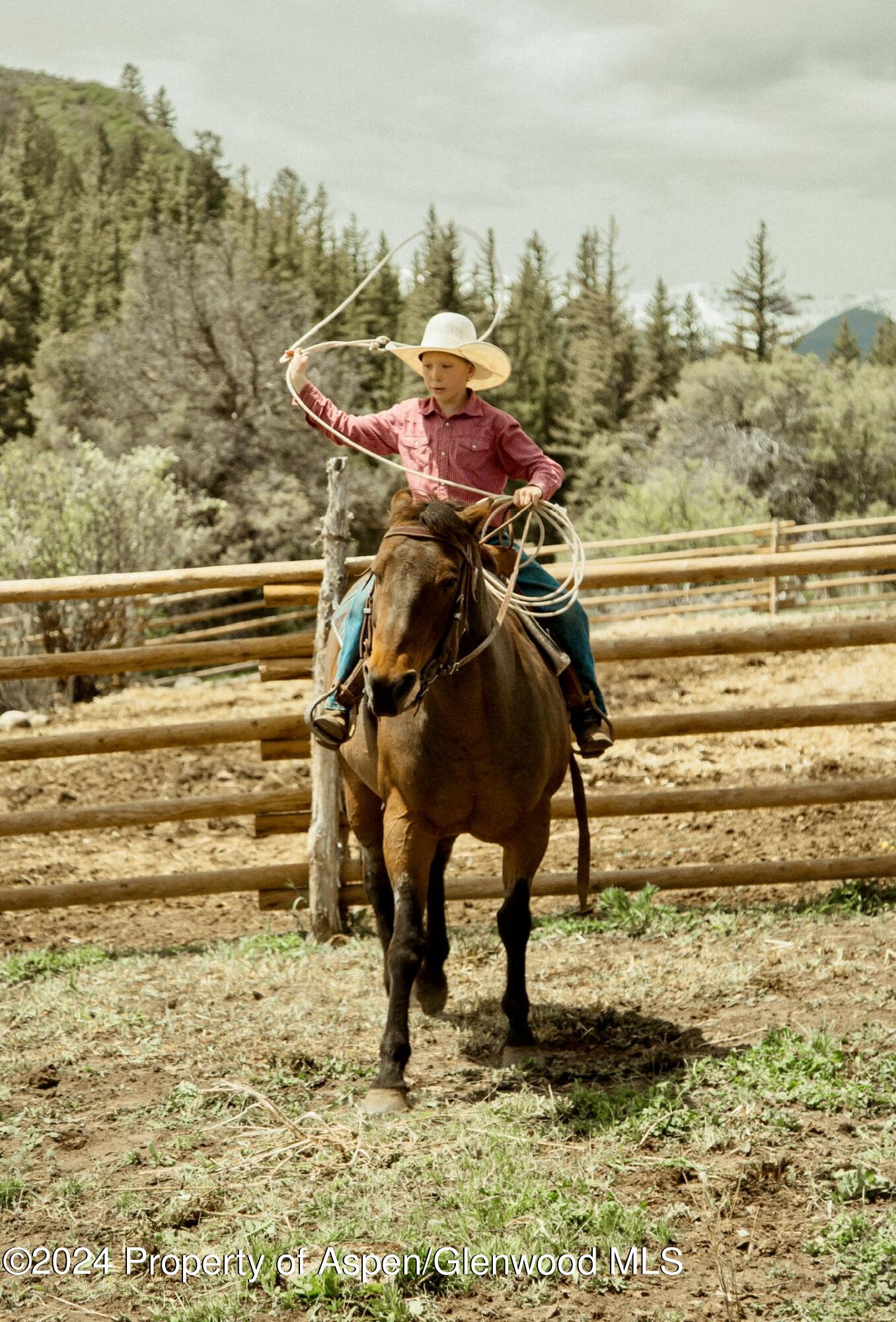 1150 Capitol Creek Road Snowmass, CO 81654 - Photo 54 of 65 Ranchlife80