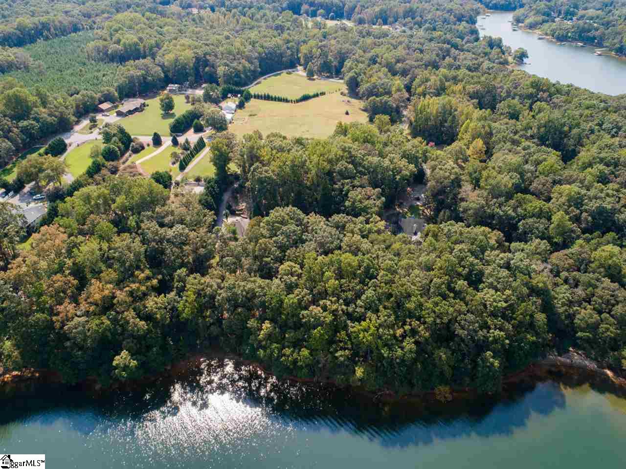 403 Lake Front Road Townville, SC 29689 - Photo 3 of 36 Gallery Image 3