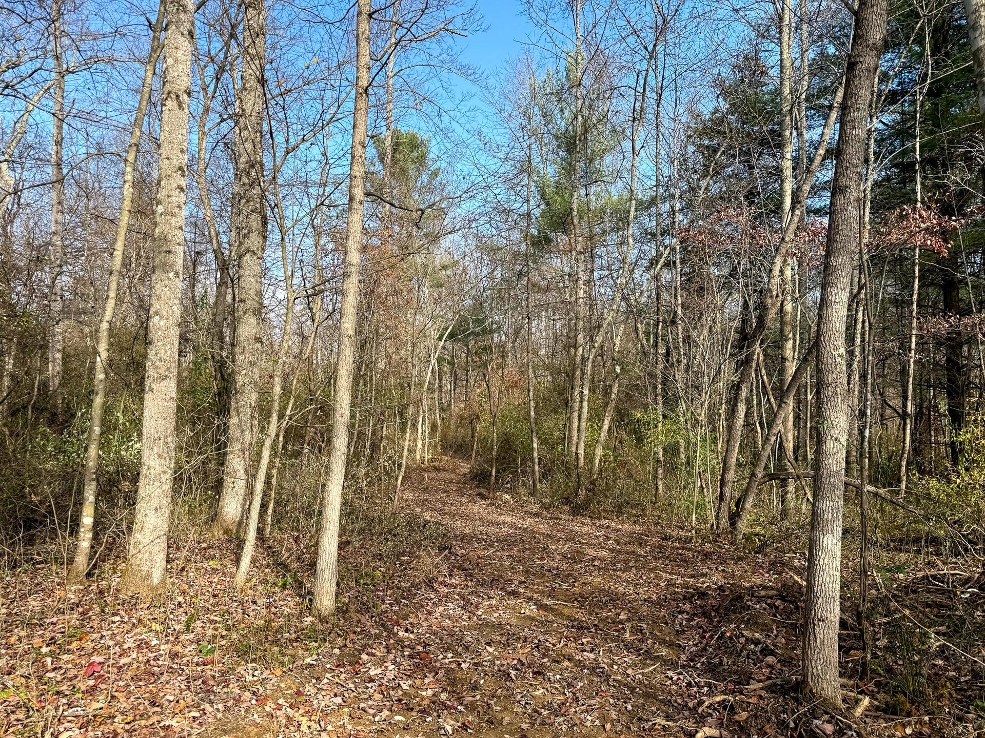 0 Dutch Ridge Road Southeast, Unit WOODS TURKEY RUN TRACT 4) New Lexington, OH 43764 - Photo 53 of 58 CT-53