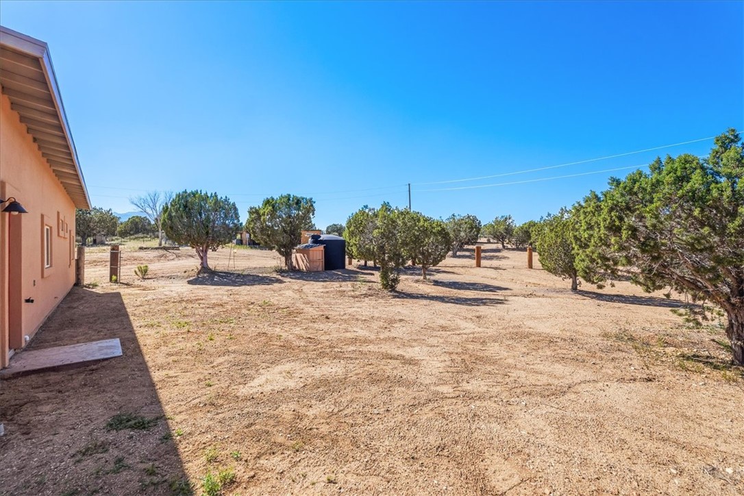 10374 East Happy Trails Road Kingman, AZ 86401 - Photo 49 of 68 a view of a yard with plants and trees