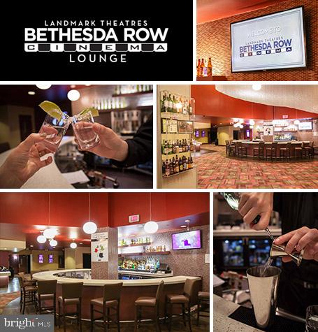 6420 Garnett Drive Chevy Chase, MD 20815 - Photo 33 of 37 And seeing movies!